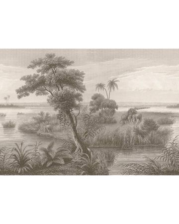 Fotomural selva tropical 556155gMAD