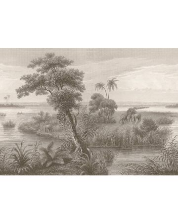 Fotomural selva 556162gMW