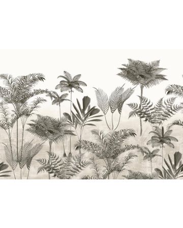 Fotomural plantas 556223gMW