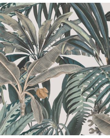 Fotomural plantas tropicales 590104gMW