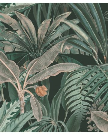 Fotomural plantas tropicales 590111gMW