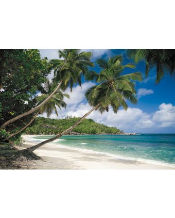 Fotomural Playa Tropical 8g308gIE4