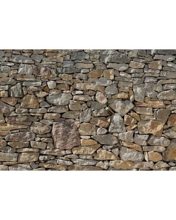 Fotomural Pared de Piedra 8g727gIE4