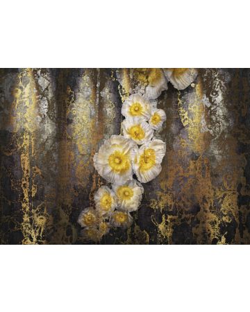 Fotomural Amapolas doradas 8g963gIE4