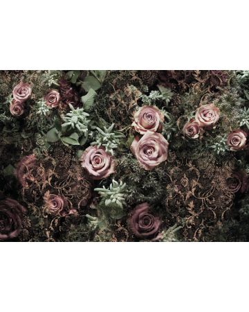 Fotomural Rosas 8g980gIE4