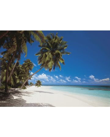 Fotomural Islas Maldivas 8g240gIE4