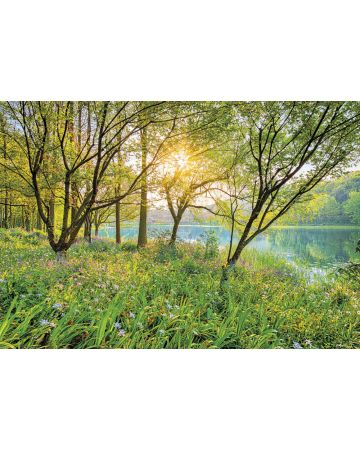 Fotomural Lago Primaveral 8g524gIE4