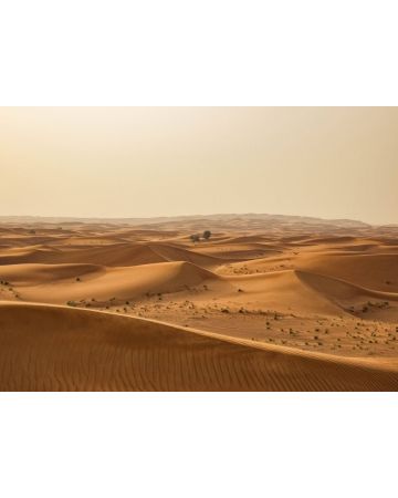 Fotomural desierto de arena 862430gMW