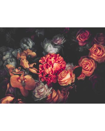 Fotomural flores gigantes