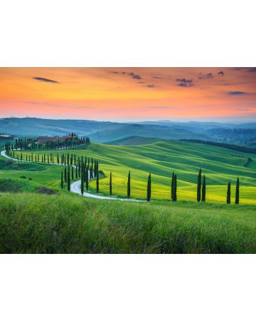 Fotomural Toscana DD118650gDW