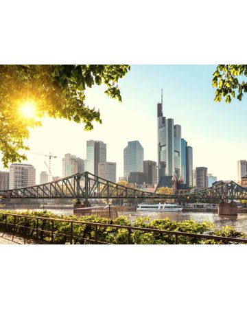 Fotomural Frankfurt DD118690gDW
