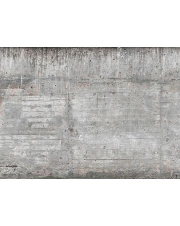 Fotomural muro cemento DD118750gDW