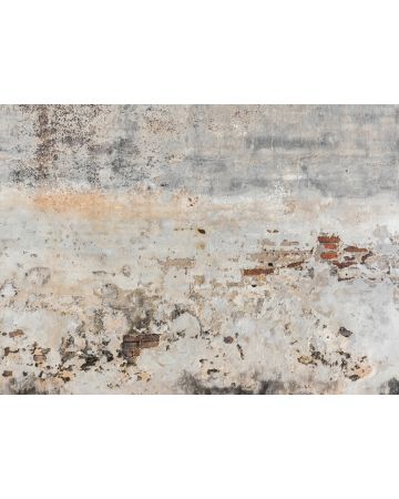 Fotomural pared antigua DD118764gDW