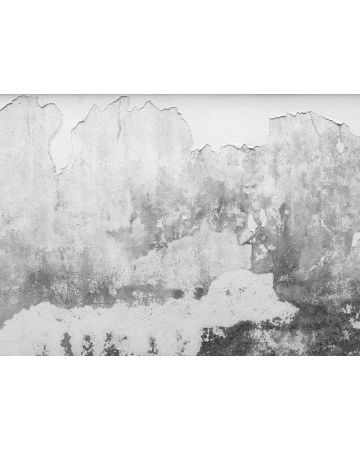 Fotomural pared antigua DD118766gDW