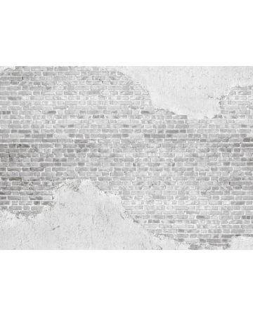 Fotomural pared ladrillo blanco viejo DD118770gDW