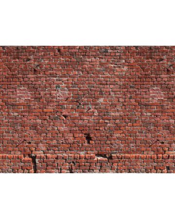 Fotomural pared ladrillo rojo DD118784gDW