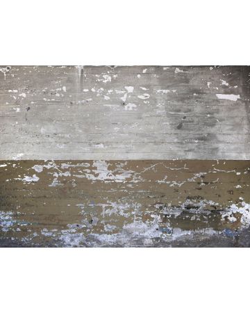 Fotomural pared cemento DD118788gDW