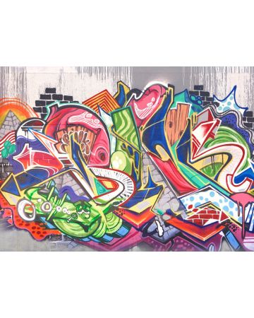 Fotomural grafiti DD118790gDW