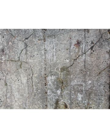 Fotomural pared cemento viejo DD118791gDW