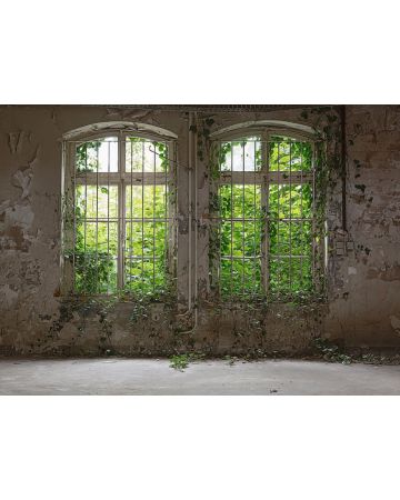 Fotomural ventana antigua DD118794gDW