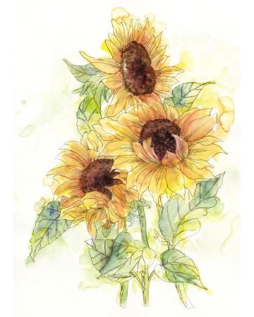 Fotomural Girasol X4g1008gIE4