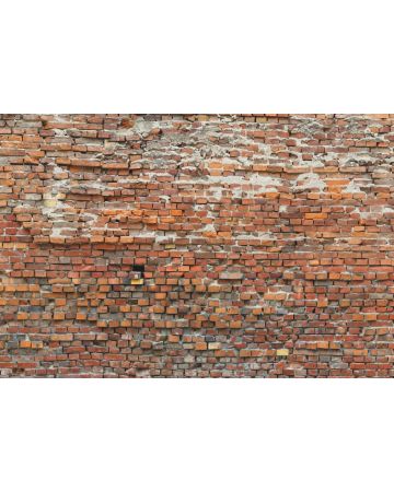 Fotomural Pared de Ladrillo XXL4g025gIE4