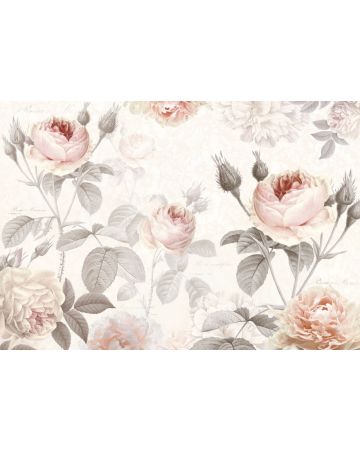 Fotomural Flores Rosas XXL4g034gIE4