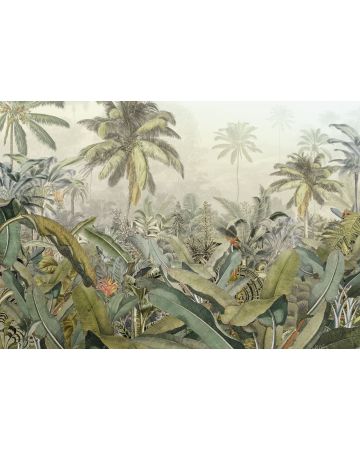 Fotomural Amazonia XXL4g063gIE4