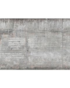 Fotomural muro cemento DD118750gDW