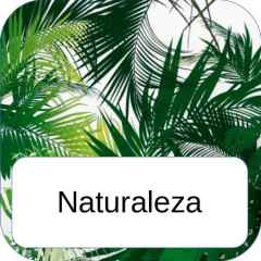 Papel pintado naturaleza
